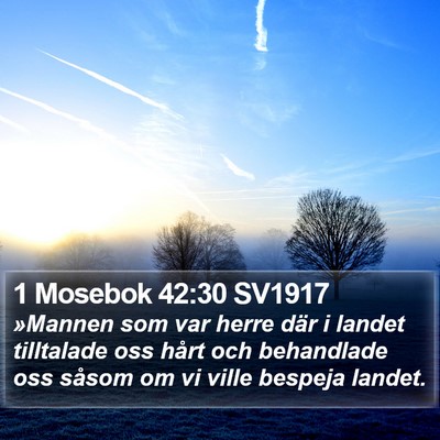 1 Mosebok 42:30 SV1917 Bible Verse Image