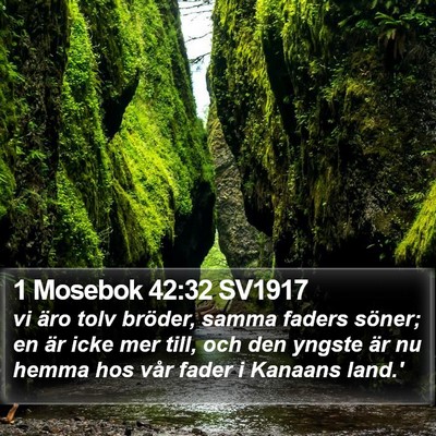 1 Mosebok 42:32 SV1917 Bible Verse Image