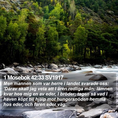 1 Mosebok 42:33 SV1917 Bible Verse Image
