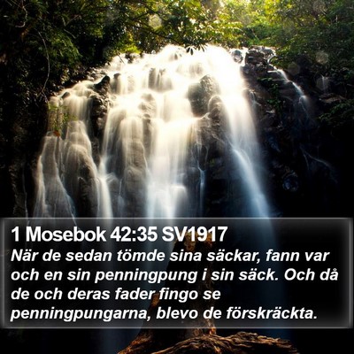 1 Mosebok 42:35 SV1917 Bible Verse Image