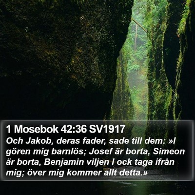 1 Mosebok 42:36 SV1917 Bible Verse Image