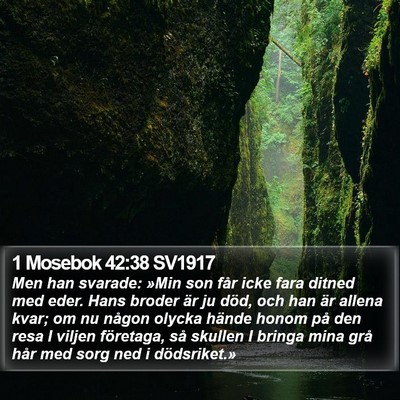 1 Mosebok 42:38 SV1917 Bible Verse Image