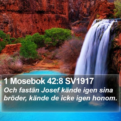 1 Mosebok 42:8 SV1917 Bible Verse Image