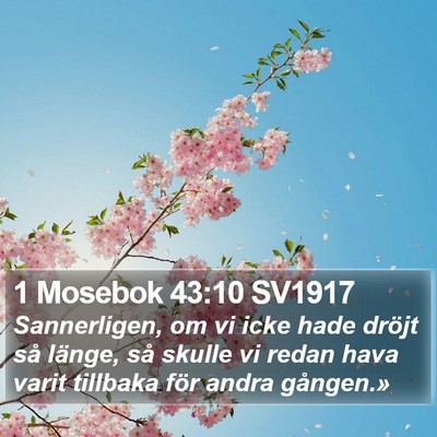 1 Mosebok 43:10 SV1917 Bible Verse Image