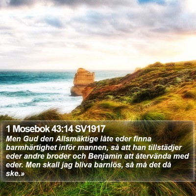 1 Mosebok 43:14 SV1917 Bible Verse Image