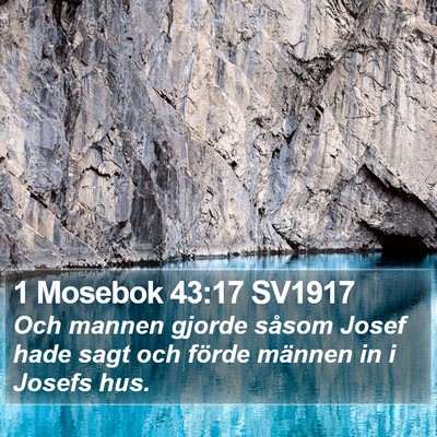 1 Mosebok 43:17 SV1917 Bible Verse Image