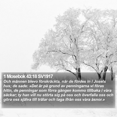 1 Mosebok 43:18 SV1917 Bible Verse Image