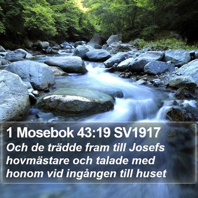 1 Mosebok 43:19 SV1917 Bible Verse Image