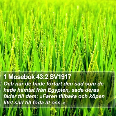 1 Mosebok 43:2 SV1917 Bible Verse Image