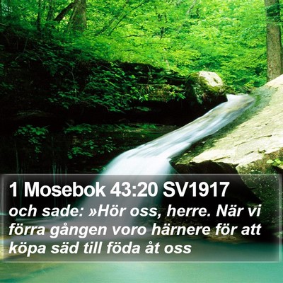 1 Mosebok 43:20 SV1917 Bible Verse Image