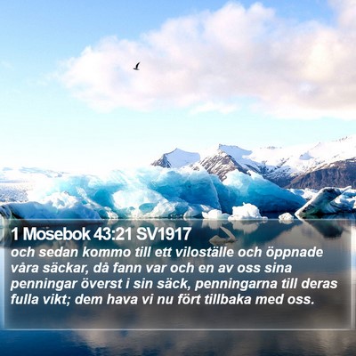 1 Mosebok 43:21 SV1917 Bible Verse Image