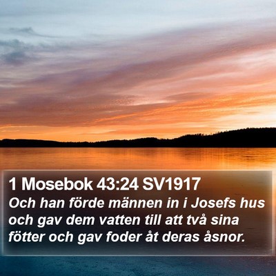 1 Mosebok 43:24 SV1917 Bible Verse Image