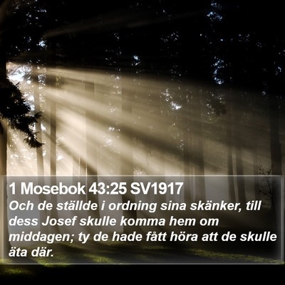 1 Mosebok 43:25 SV1917 Bible Verse Image