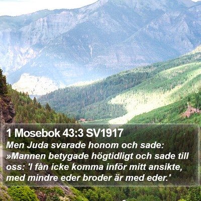 1 Mosebok 43:3 SV1917 Bible Verse Image