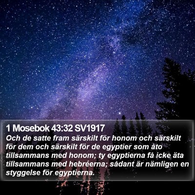 1 Mosebok 43:32 SV1917 Bible Verse Image