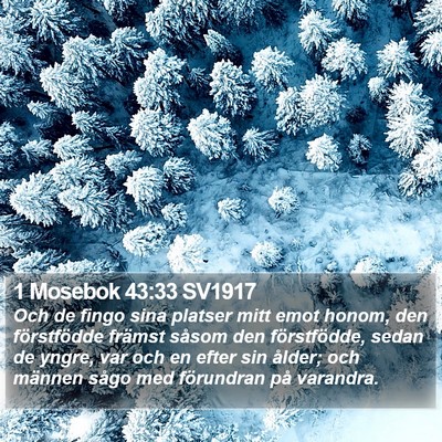1 Mosebok 43:33 SV1917 Bible Verse Image
