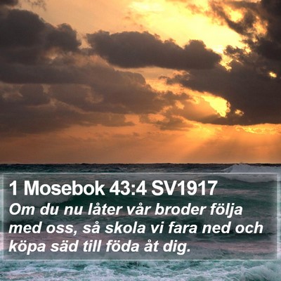 1 Mosebok 43:4 SV1917 Bible Verse Image