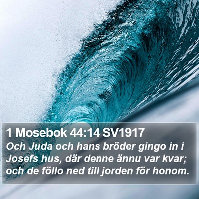 1 Mosebok 44:14 SV1917 Bible Verse Image