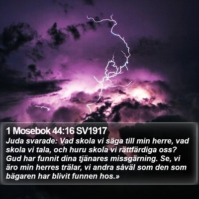 1 Mosebok 44:16 SV1917 Bible Verse Image