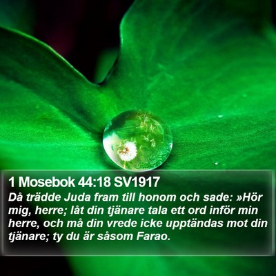 1 Mosebok 44:18 SV1917 Bible Verse Image