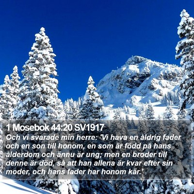 1 Mosebok 44:20 SV1917 Bible Verse Image