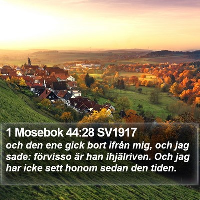 1 Mosebok 44:28 SV1917 Bible Verse Image