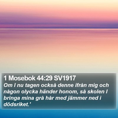 1 Mosebok 44:29 SV1917 Bible Verse Image