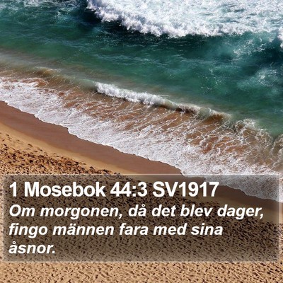 1 Mosebok 44:3 SV1917 Bible Verse Image