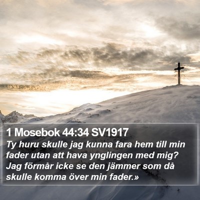 1 Mosebok 44:34 SV1917 Bible Verse Image