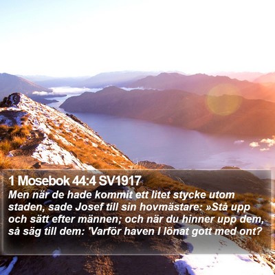 1 Mosebok 44:4 SV1917 Bible Verse Image