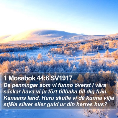1 Mosebok 44:8 SV1917 Bible Verse Image