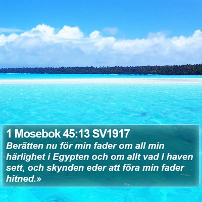 1 Mosebok 45:13 SV1917 Bible Verse Image