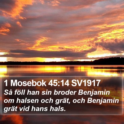 1 Mosebok 45:14 SV1917 Bible Verse Image