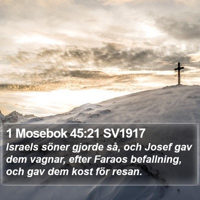 1 Mosebok 45:21 SV1917 Bible Verse Image