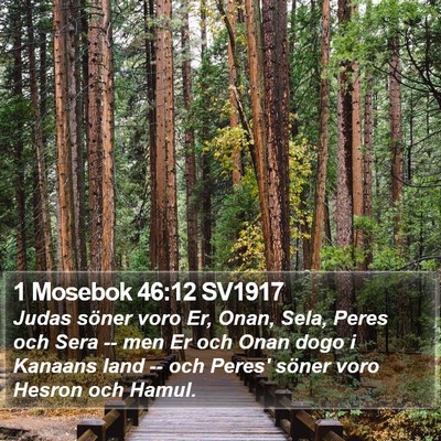 1 Mosebok 46:12 SV1917 Bible Verse Image