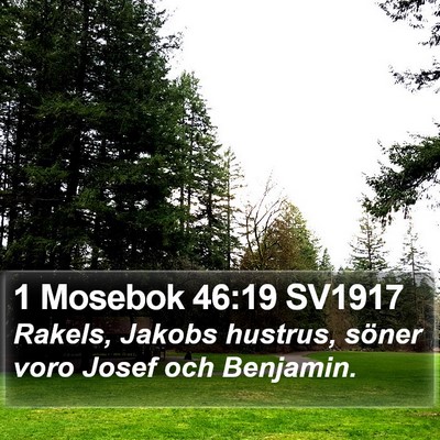 1 Mosebok 46:19 SV1917 Bible Verse Image