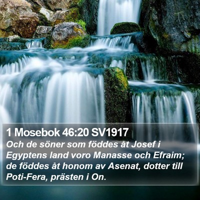 1 Mosebok 46:20 SV1917 Bible Verse Image