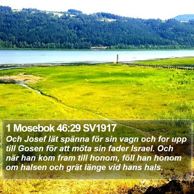 1 Mosebok 46:29 SV1917 Bible Verse Image