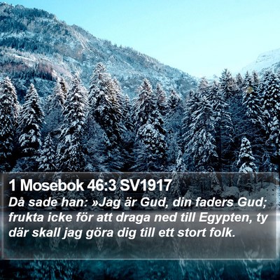 1 Mosebok 46:3 SV1917 Bible Verse Image