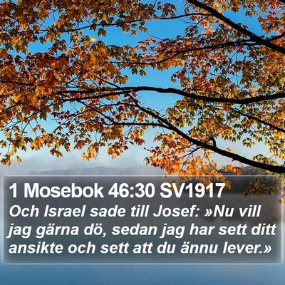 1 Mosebok 46:30 SV1917 Bible Verse Image