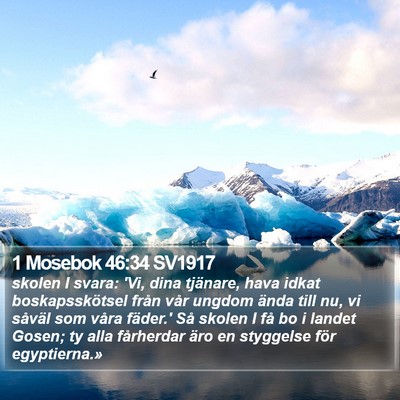 1 Mosebok 46:34 SV1917 Bible Verse Image