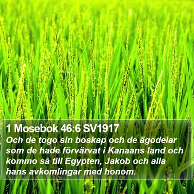 1 Mosebok 46:6 SV1917 Bible Verse Image