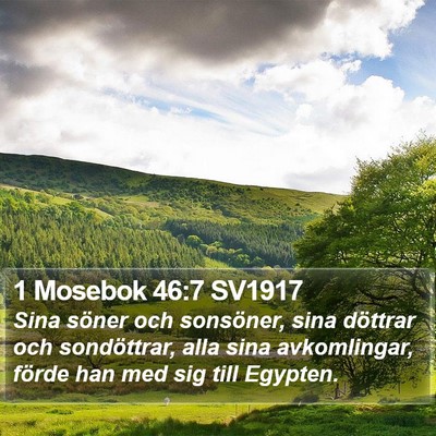 1 Mosebok 46:7 SV1917 Bible Verse Image
