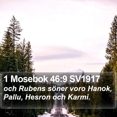 1 Mosebok 46:9 SV1917 Bible Verse Image