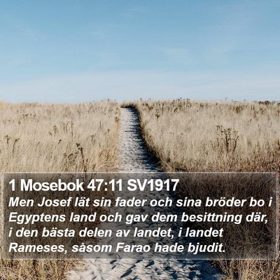 1 Mosebok 47:11 SV1917 Bible Verse Image