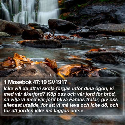 1 Mosebok 47:19 SV1917 Bible Verse Image