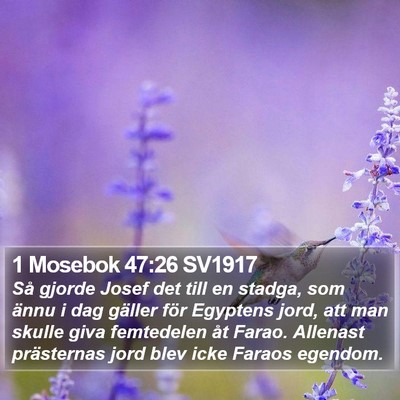 1 Mosebok 47:26 SV1917 Bible Verse Image