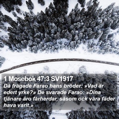 1 Mosebok 47:3 SV1917 Bible Verse Image