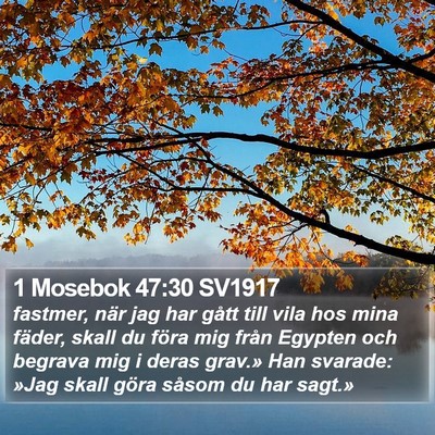 1 Mosebok 47:30 SV1917 Bible Verse Image