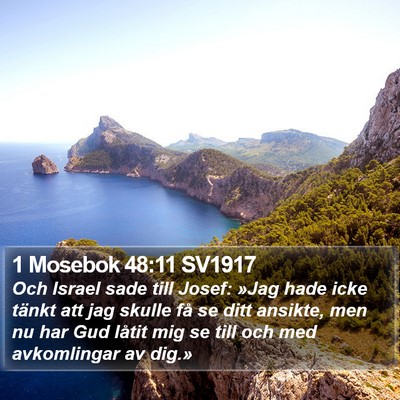 1 Mosebok 48:11 SV1917 Bible Verse Image